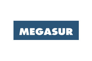 Informatica Megasur