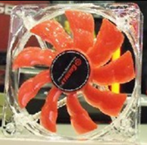 fake-Magma
